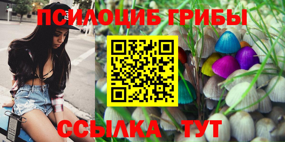 Галлюциногенные грибы ЛСД Ивантеевка