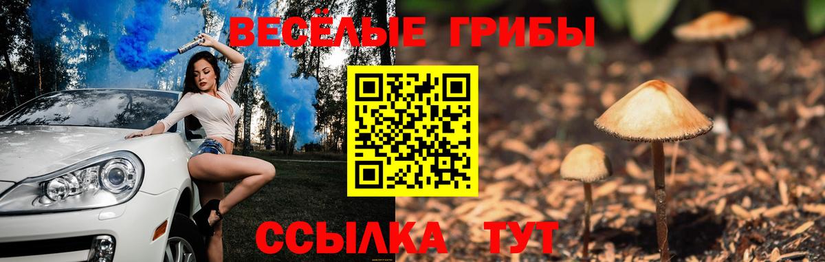 Ивантеевка  Псилоцибиновые грибы Psilocybe  Вход с VPN 