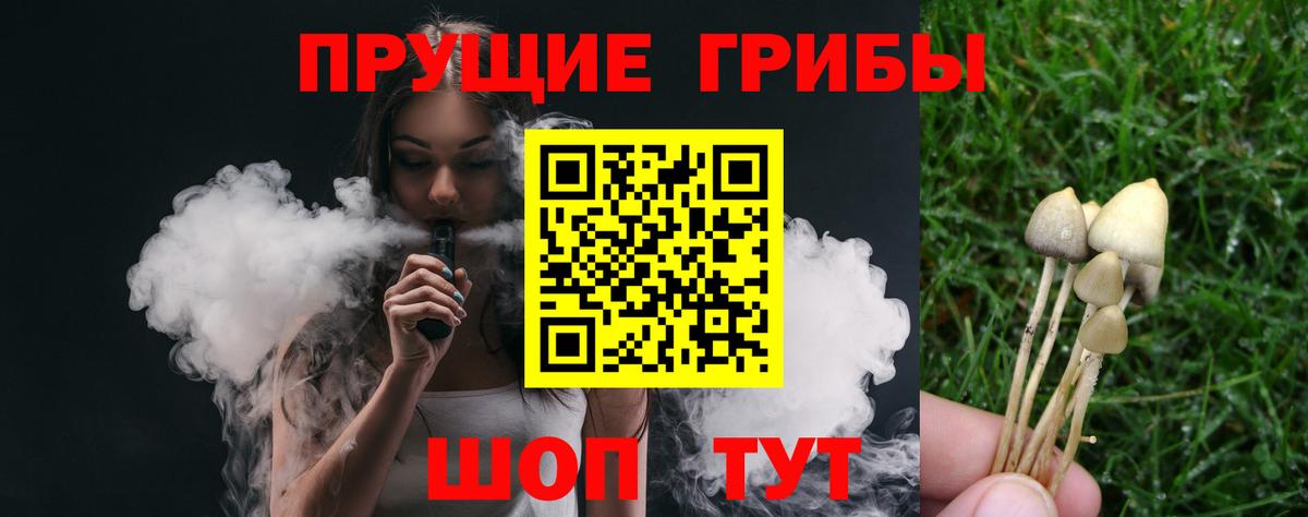 ГАШИШ Ивантеевка